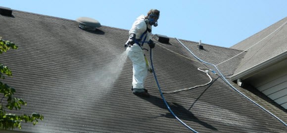 roof-cleaning